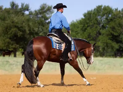 A Ghost Machine — profile photo