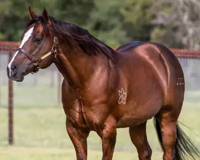 A Guy With Proof — profile photo