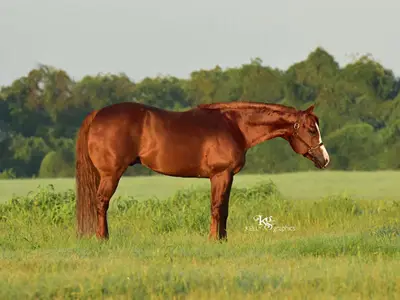 Admit It Im Good — profile photo