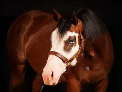 All I Need — profile photo