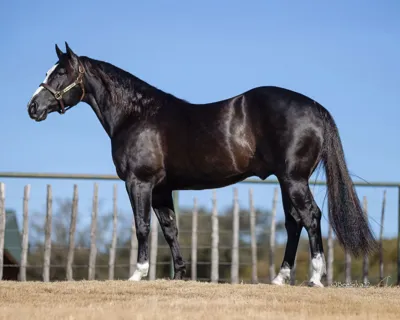 Badboonarising — profile photo