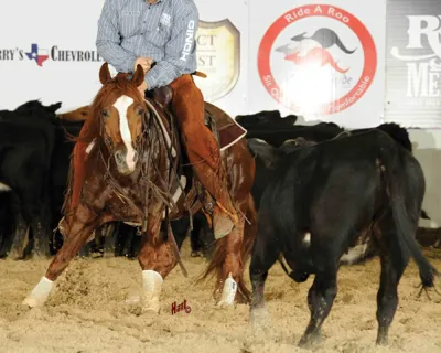 BAMACAT — profile photo