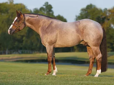 Blind Sided — profile photo