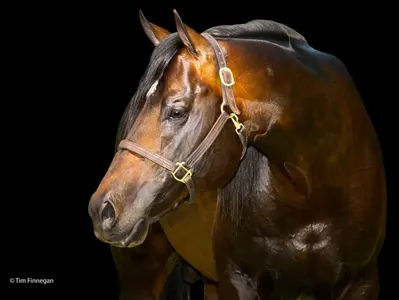 Coats N Tails — profile photo