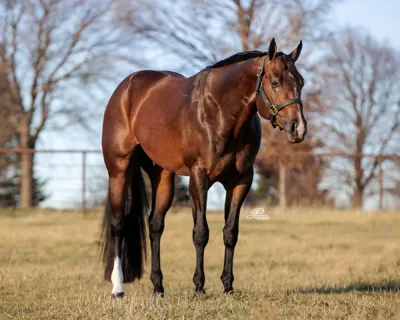 Cool Ladys Man — profile photo