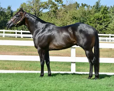 Cyber Monday — profile photo