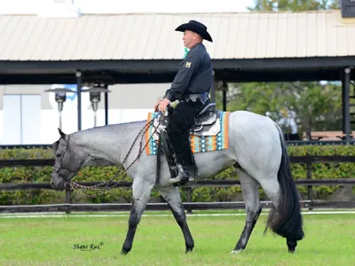 Dial My Hotline — profile photo