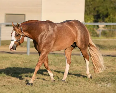 Do A Double Take — profile photo