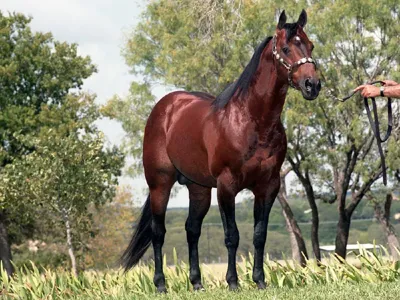 DOCS HICKORY — profile photo