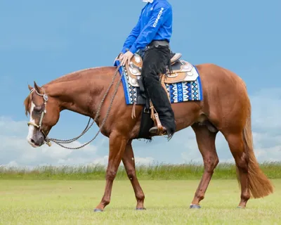 Fiire N Ice — profile photo