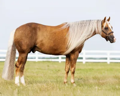 Finals Bound — profile photo