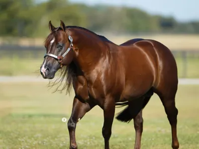 Gunnabebigtime — profile photo