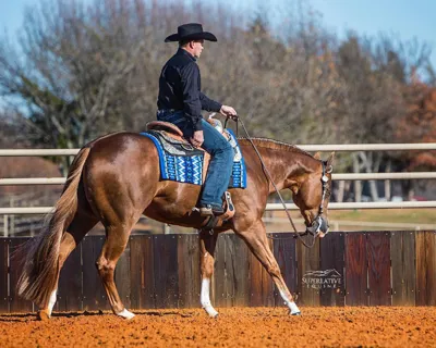 Hay Goodlookn — profile photo