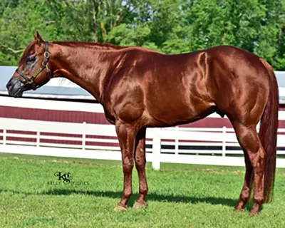 Hez Only Trouble — profile photo