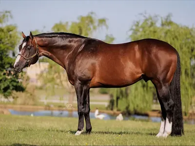 Hot Ones Only — profile photo