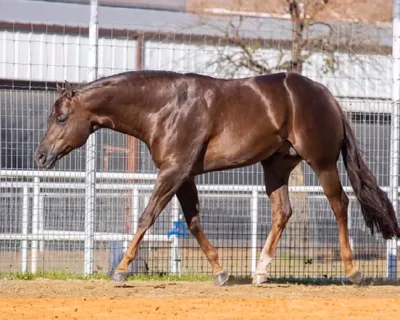 I Am The Party — profile photo