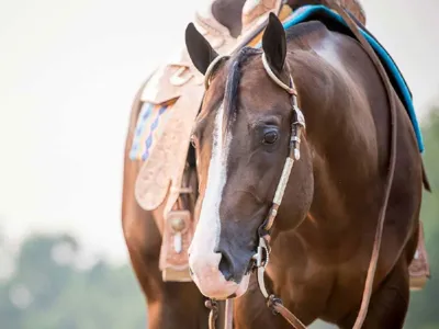 Istyle — profile photo