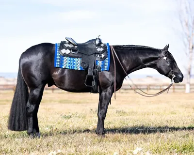 Make My Dayy — profile photo