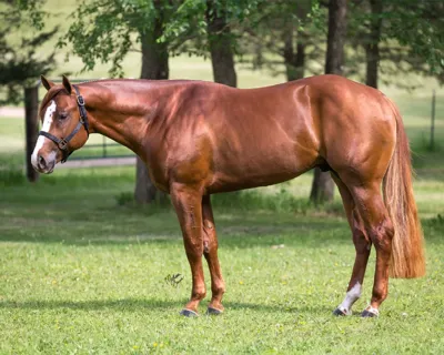 Mama Always Said — profile photo