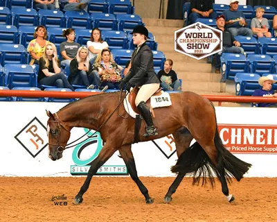 MSH The X Factor — profile photo