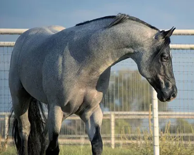 My Final Notice — profile photo