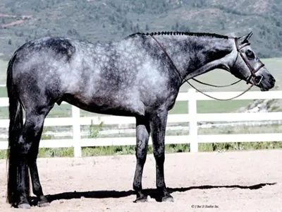 Only Blue Sky — profile photo