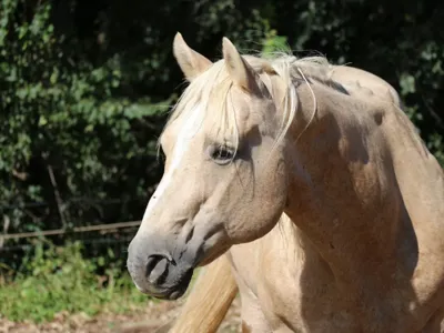 PS Good Bars Kat — profile photo