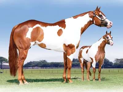 The Final Verse — profile photo