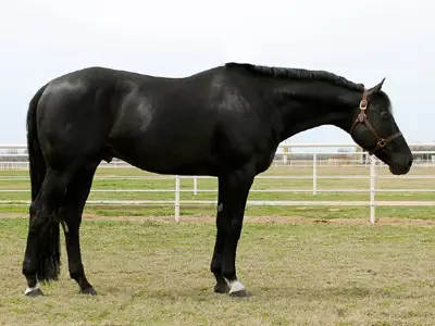 The Next Detail — profile photo