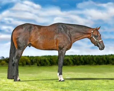 Ultimately Great — profile photo