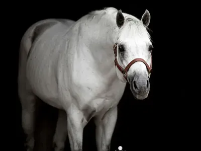 Un Forgettable — profile photo