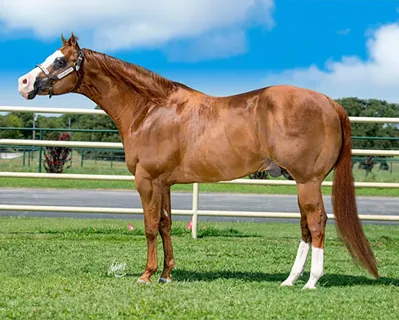 Very Cool — profile photo