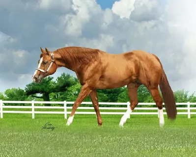 Vested Pine — profile photo