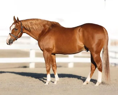 Woody Be Tuff — profile photo