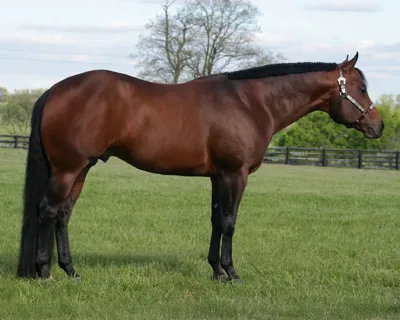 Fiesta Fudge — profile photo