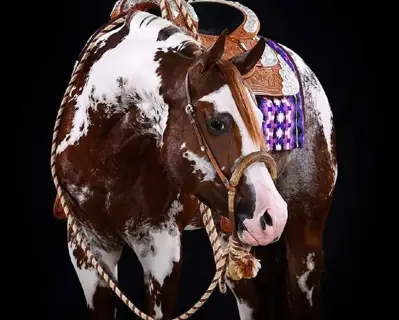 A Hot Surprise — profile photo