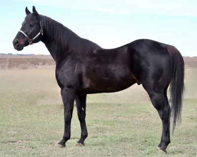 Flash N The Girls — profile photo