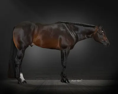 If I Ever — profile photo