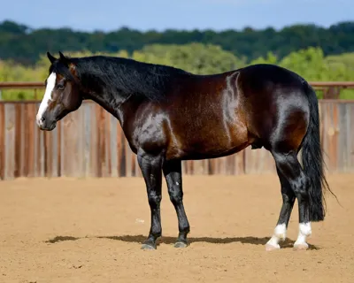 Nothing But Blu — profile photo