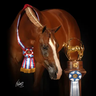 A Certain Illusion — profile photo