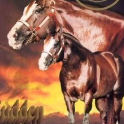 A Sudden Impulse — profile photo