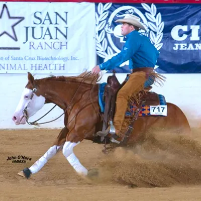 Americasnextgunmodel — profile photo