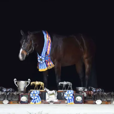 Batterfly Kisses — profile photo