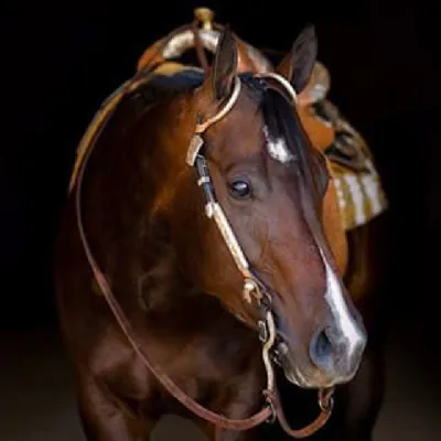 Bestseatnthehouse — profile photo