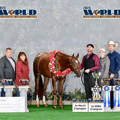 Bigger The Better — profile photo