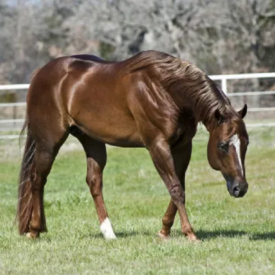 Born To Be Blazing — profile photo