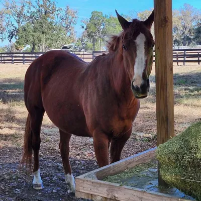 Boston Invitation — profile photo