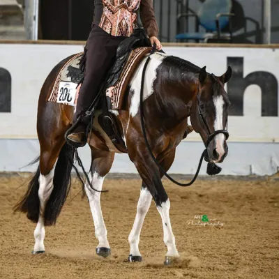 Chips And Salsa — profile photo