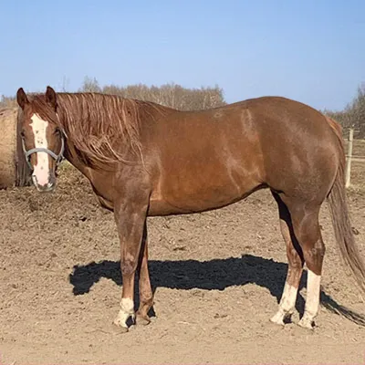 Cool And Blazing — profile photo