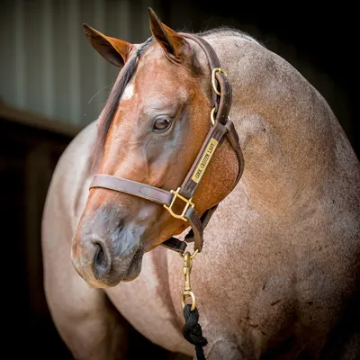 Cool Cruzen Lady — profile photo